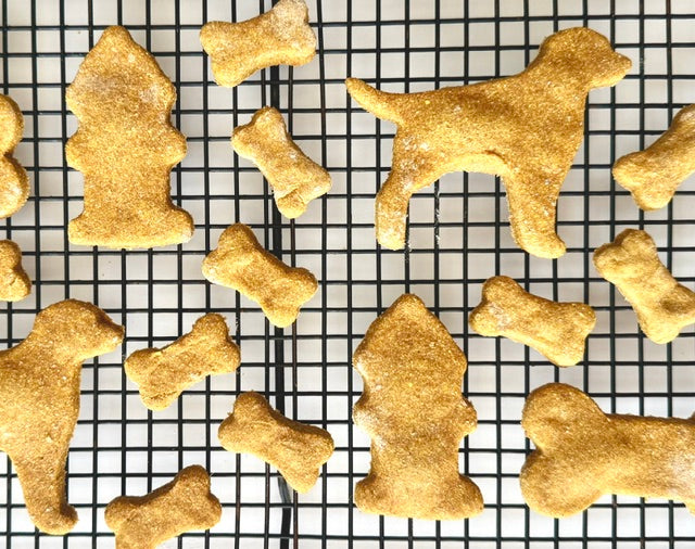 Pumpkin Peanut Butter Pet Treats