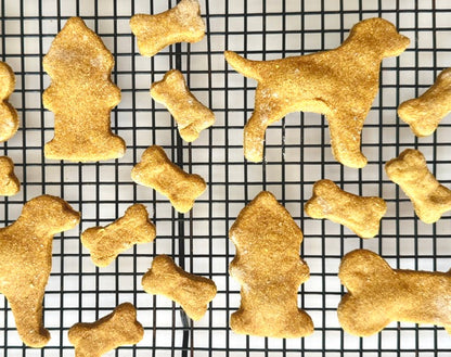 Pumpkin Peanut Butter Pet Treats
