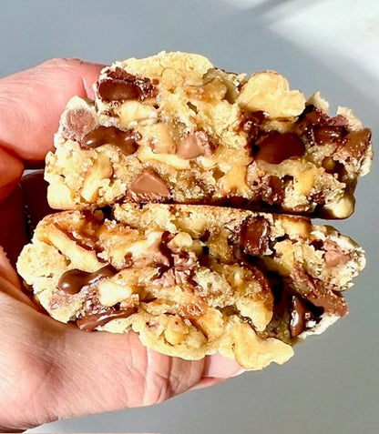 Gourmet Chocolate Walnut Cookies